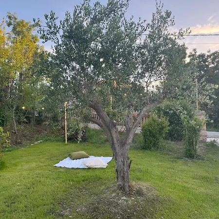 Il Nido